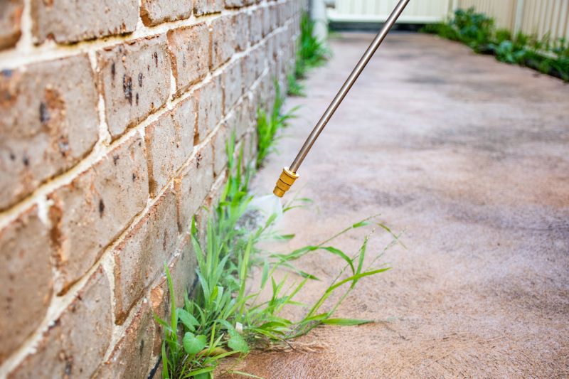Lawn Herbicide Treatment in Honolulu, HI