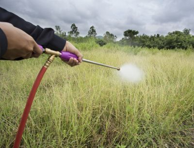 Lawn Weed Spraying in Aiken, SC