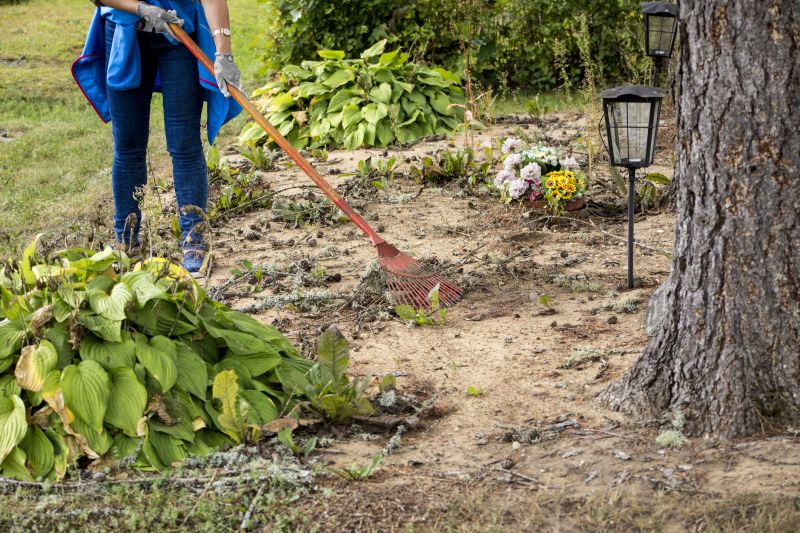 Before and After Poison Oak Clearing